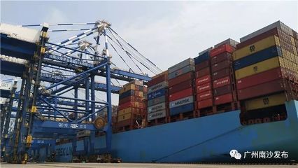 点赞!南沙贸易便利化速度惊人,外贸新业态迅猛发展